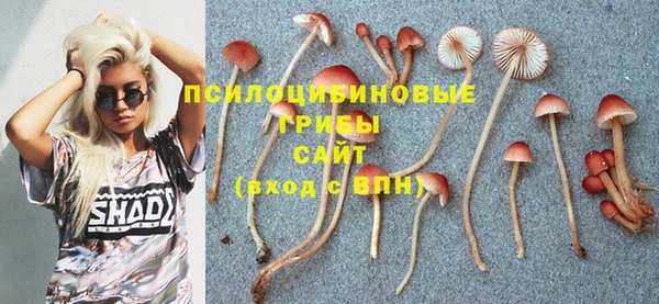 гашишное масло Каменка