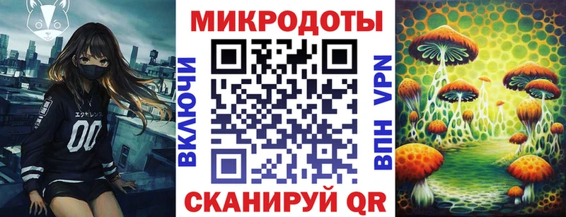 купить наркотик  Чита  Галлюциногенные грибы прущие грибы 