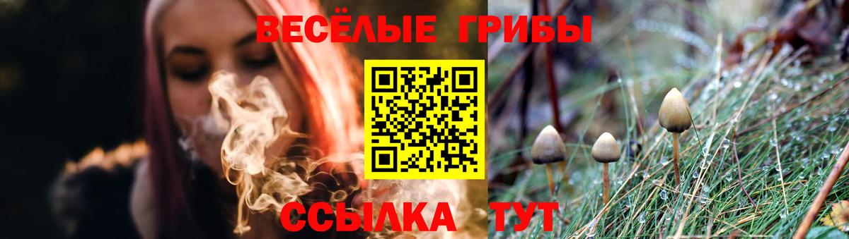 Галлюциногенные грибы Psilocybine cubensis  Вход с VPN  закладка  Чита 